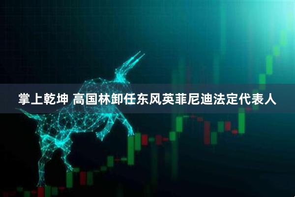 掌上乾坤 高国林卸任东风英菲尼迪法定代表人