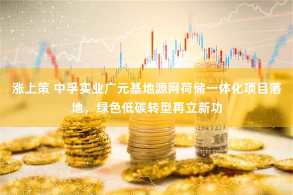 涨上策 中孚实业广元基地源网荷储一体化项目落地，绿色低碳转型再立新功