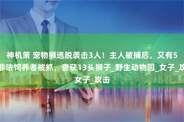 神机策 宠物狮逃脱袭击3人！主人被捕后，又有5名非法饲养者被抓，查获13头狮子_野生动物园_女子_攻击