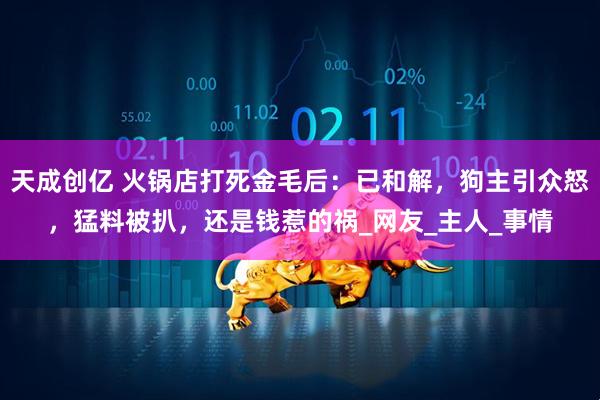 天成创亿 火锅店打死金毛后：已和解，狗主引众怒，猛料被扒，还是钱惹的祸_网友_主人_事情