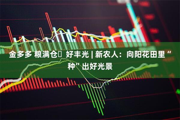 金多多 粮满仓・好丰光 | 新农人：向阳花田里“种”出好光景
