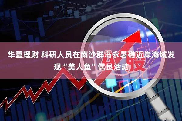 华夏理财 科研人员在南沙群岛永暑礁近岸海域发现“美人鱼”儒艮活动