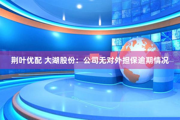 荆叶优配 大湖股份：公司无对外担保逾期情况