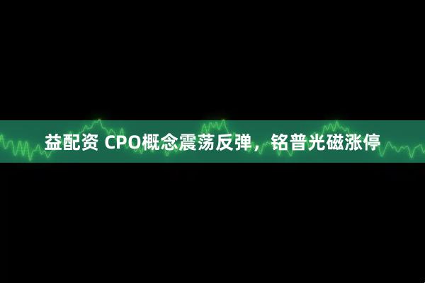 益配资 CPO概念震荡反弹，铭普光磁涨停