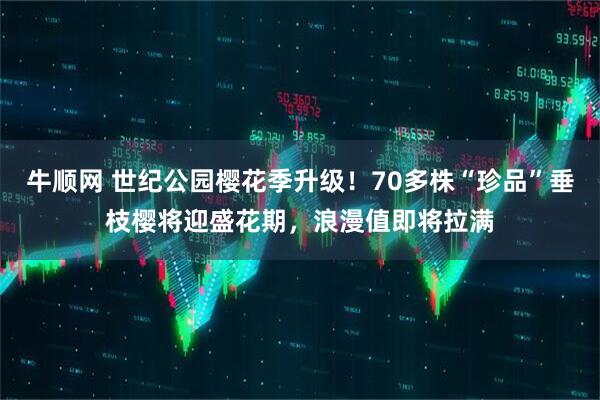 牛顺网 世纪公园樱花季升级！70多株“珍品”垂枝樱将迎盛花期，浪漫值即将拉满